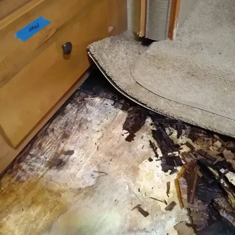 Best Wood Floor Water Damage Service in Fallston, MD